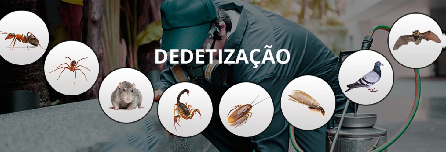 Dedetiza??o Fortaleza